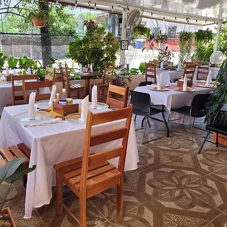 Saint Charles Inn, Belize Central America 蓬塔戈尔达 外观 照片
