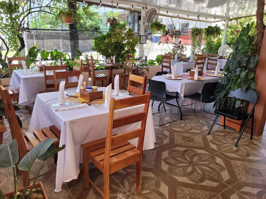 Saint Charles Inn, Belize Central America 蓬塔戈尔达 外观 照片
